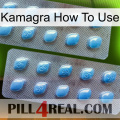 Kamagra How To Use viagra4